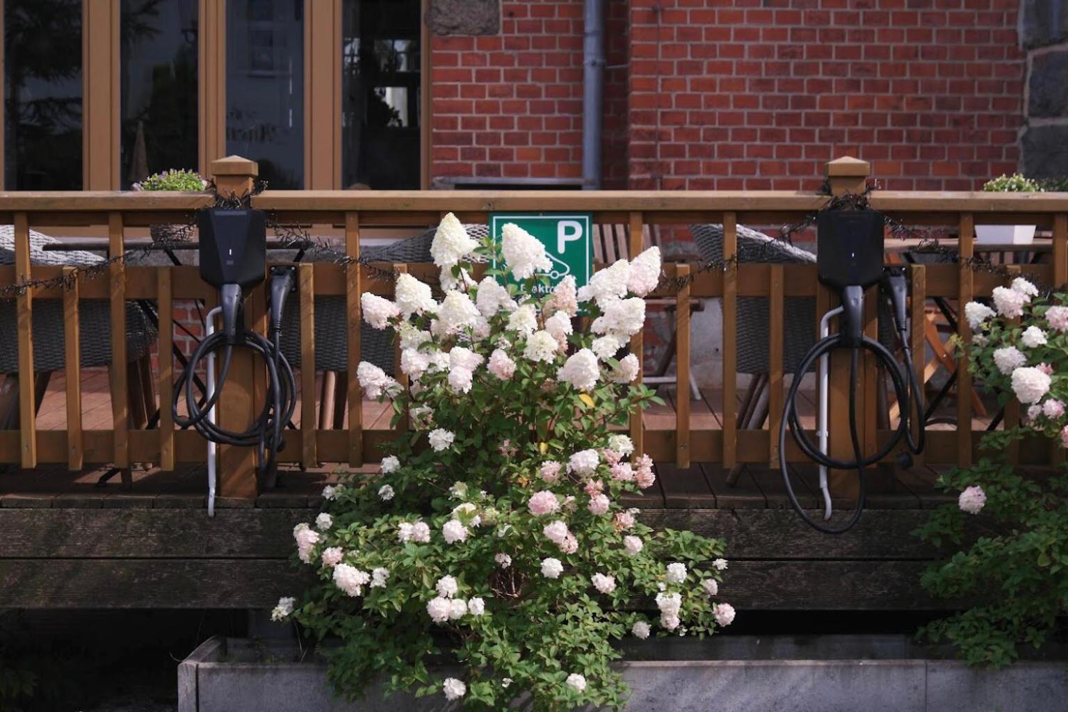 Comfort-Hotel garni Schierker Waldperle - inklusive Wellness Exterior foto
